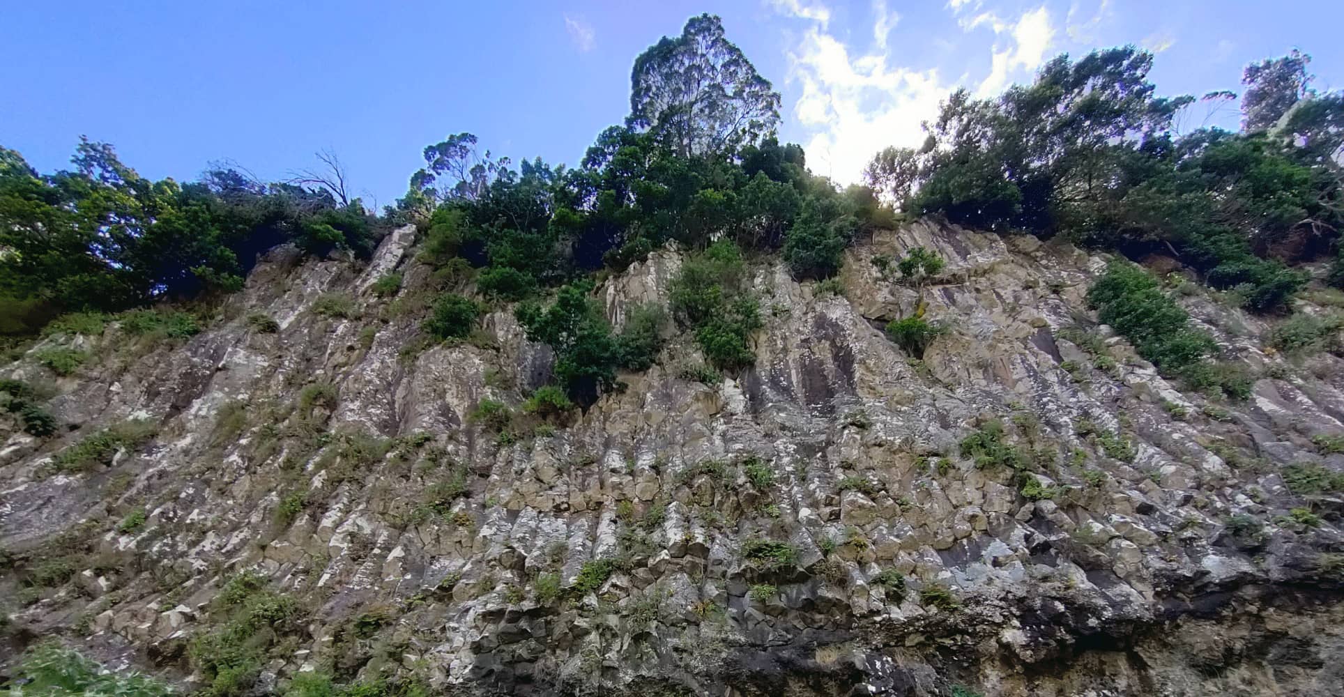 Ecossítio - Colunares Maroços