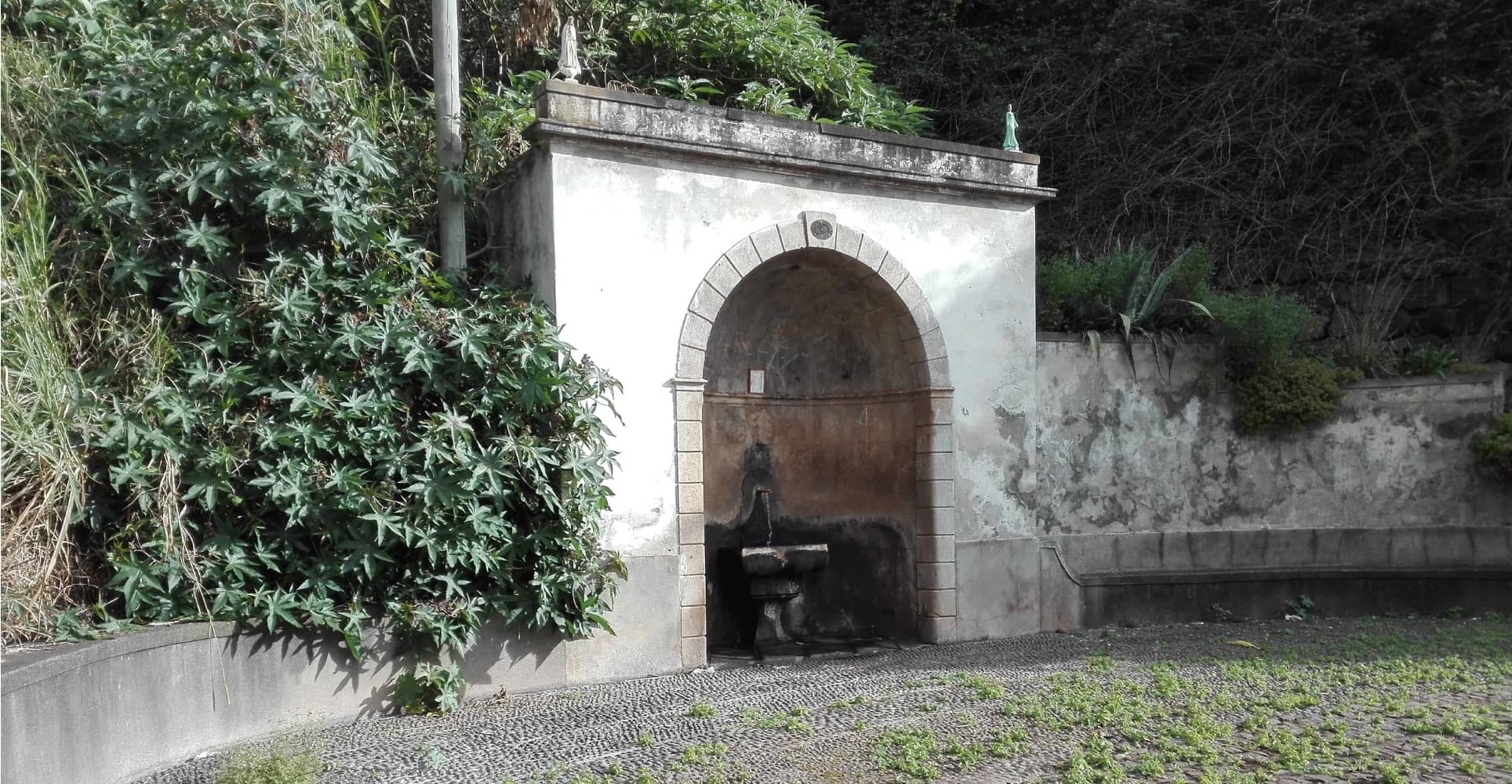 Ecossítio - Fonte do Seixo