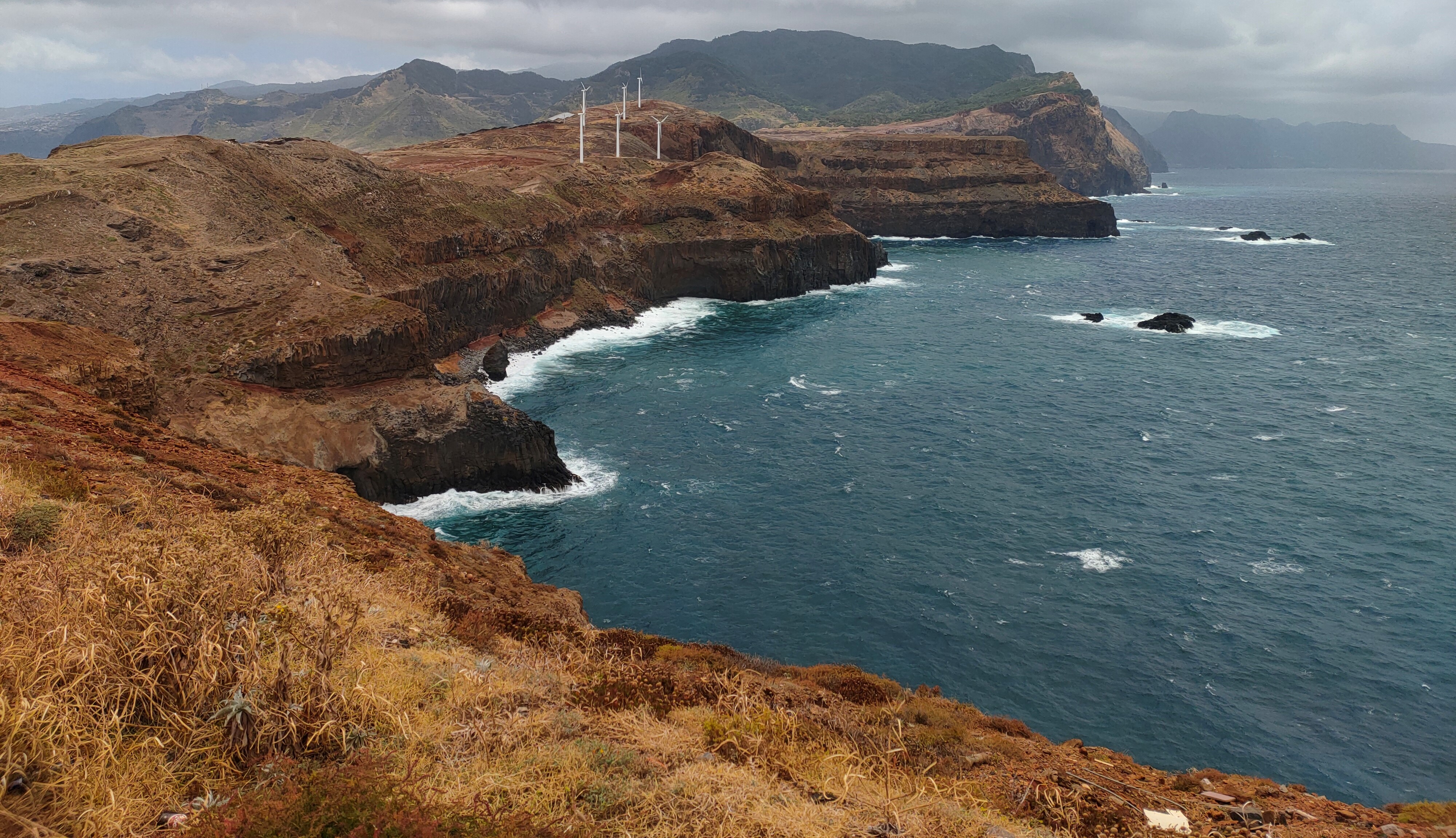 Ecossítio - Ponta do Bode
