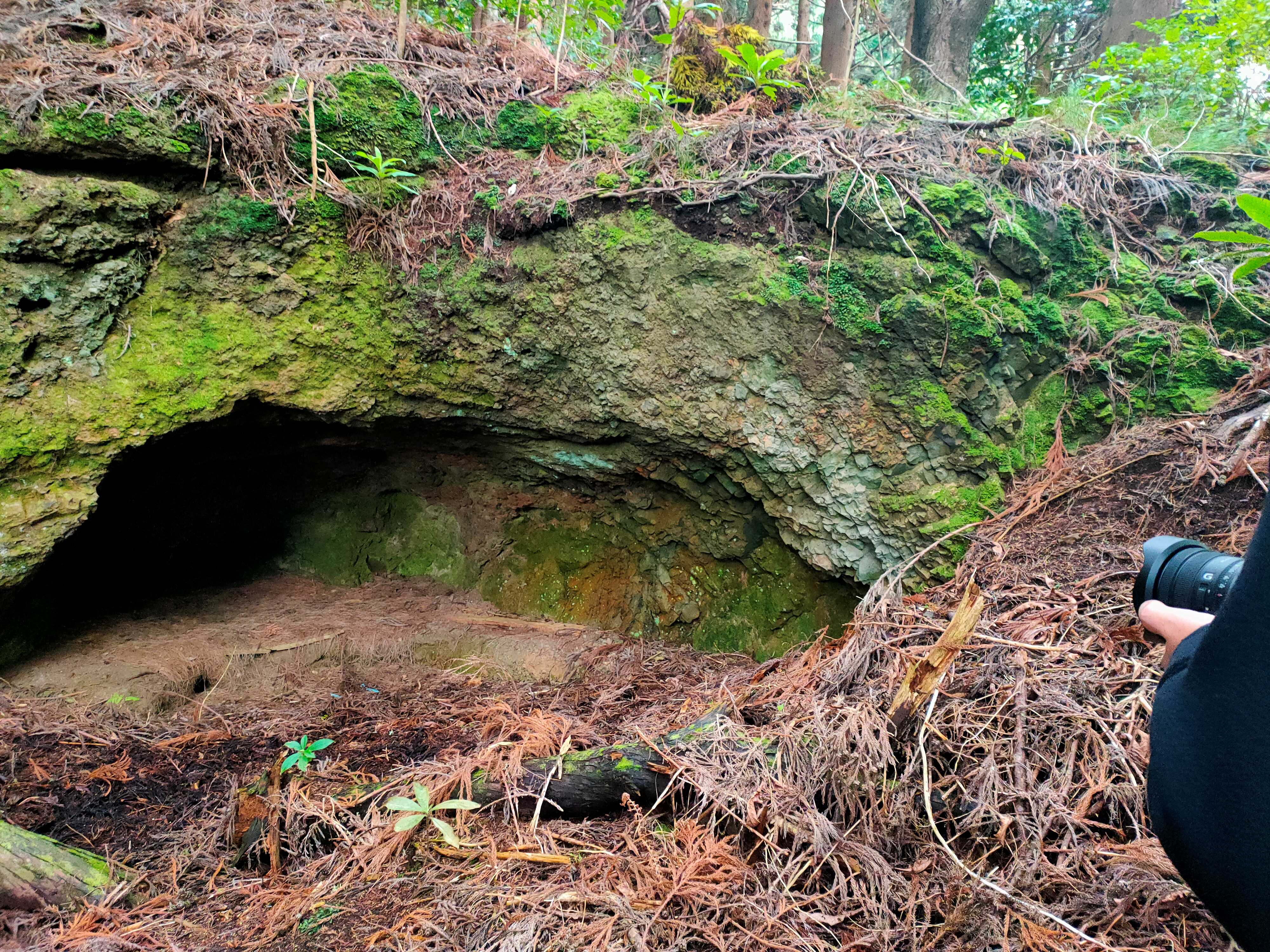 Ecossítio - Cabeço do Cura