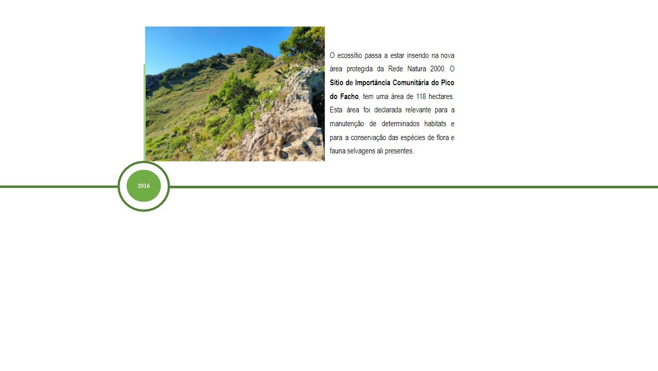Cronologia Dregoal 2