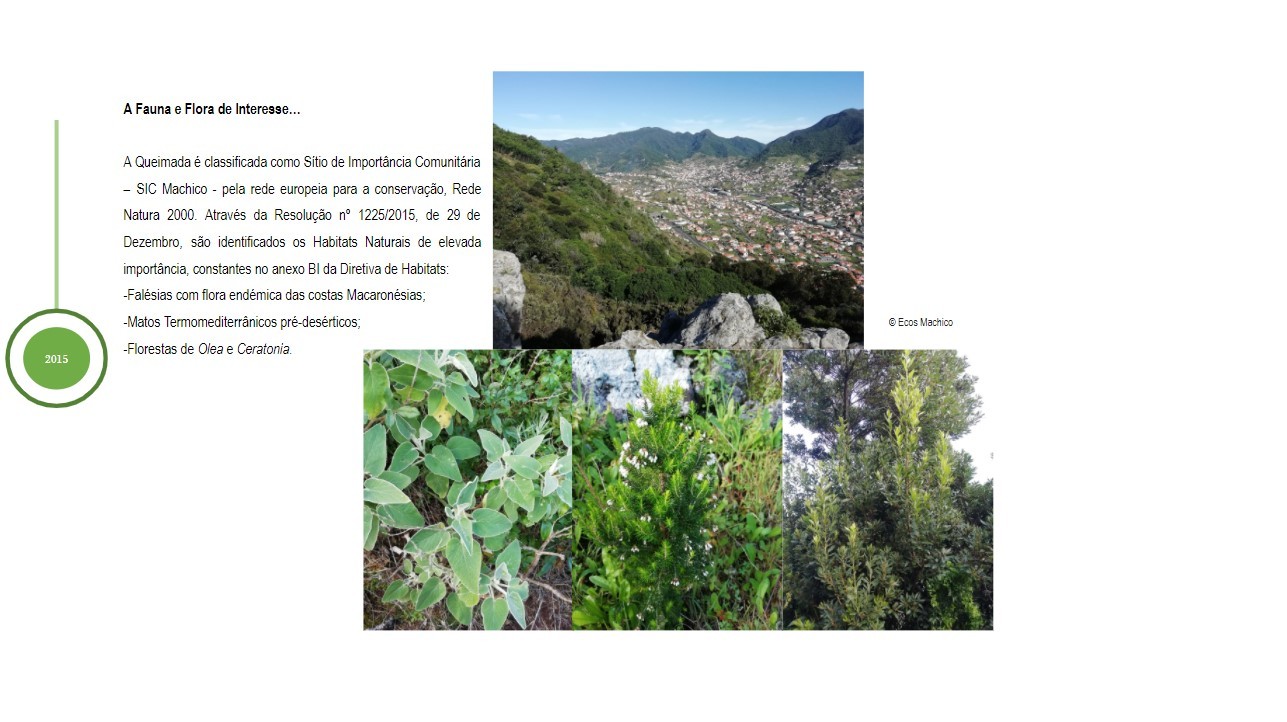 Cronologia Queimada 3