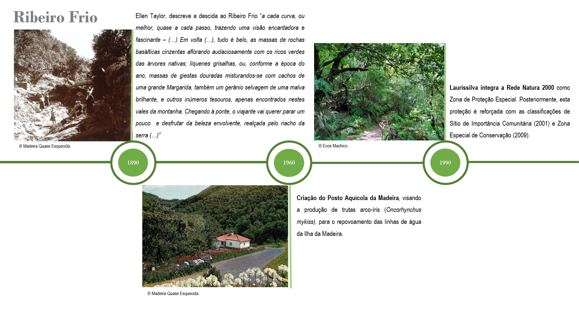 Cronologia Ribeiro Frio 2