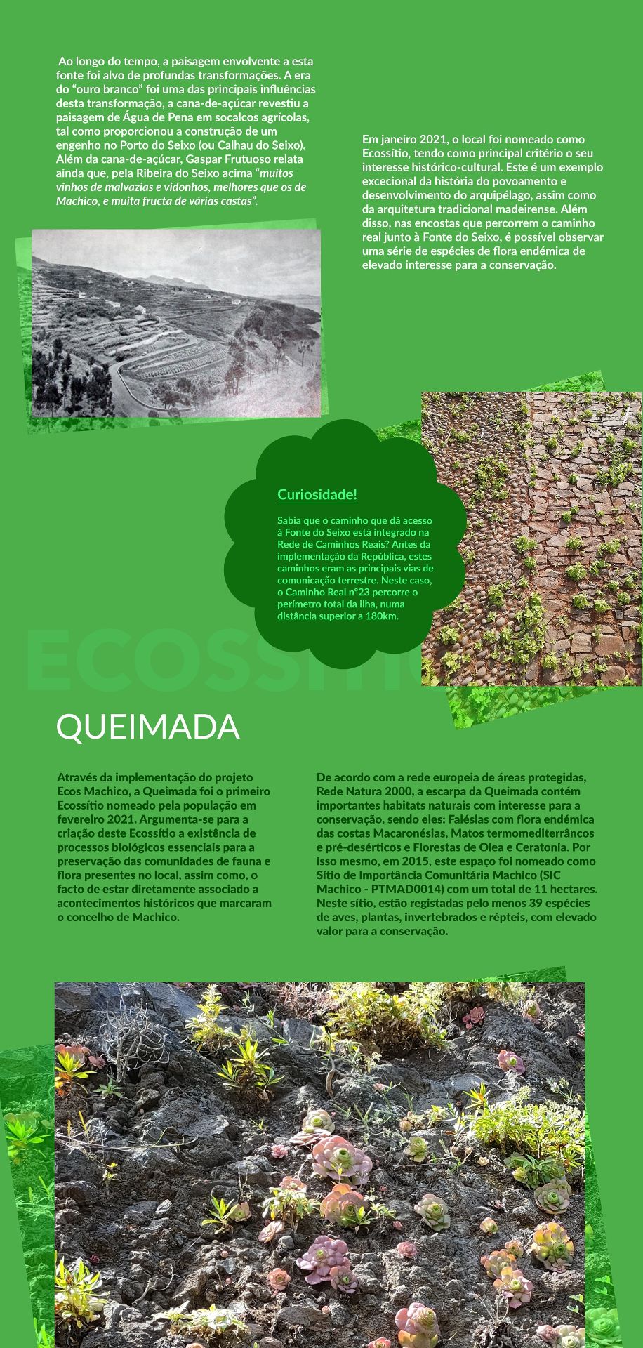 Expo-Agua-de-Pena