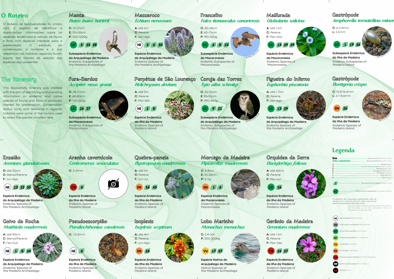 Roteiro_Biodiversidade_Machico