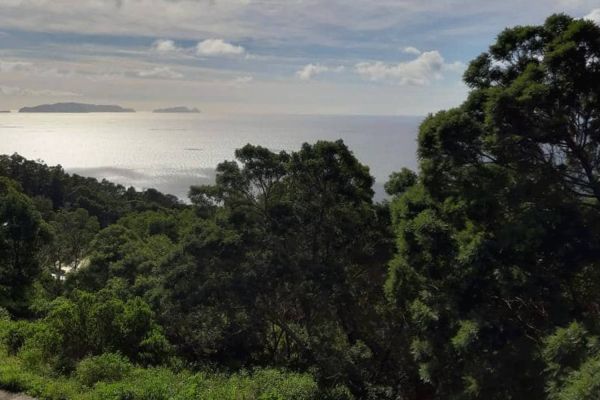 Queimada