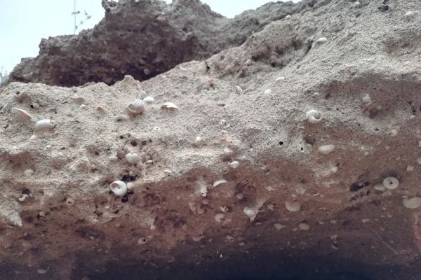 dunas377FEF706-F0E9-2C3D-1854-2EC9C52080A8.jpg