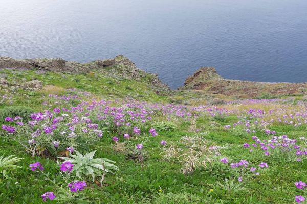 Baia d'Abra