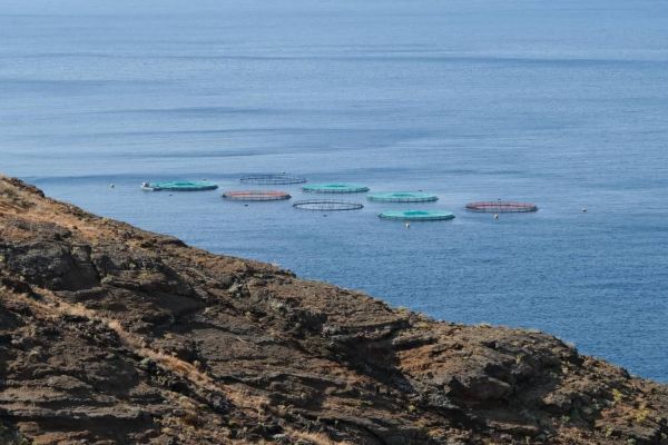Baia d'Abra