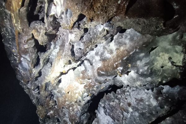 grutas-cavalum4879F2821-DB86-7748-63A4-0CBAE271BB7D.jpg