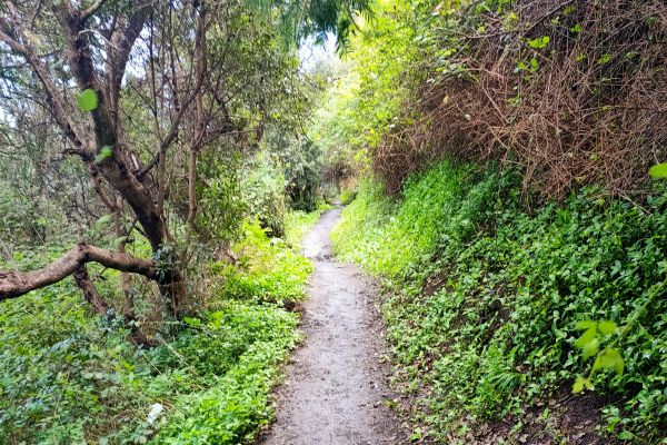 caminholarano-1201897834B-38AA-E6CF-B12A-401D40D0151B.jpg