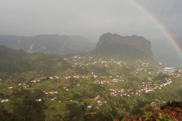 Portela
