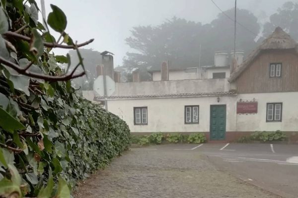 Portela