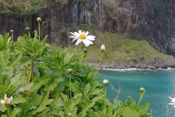 Penha d'Aguia